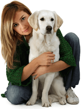woman in a green sweater kneeling with her arms around a yellow lab.